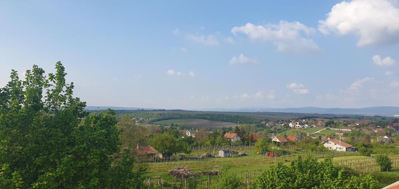 Buborek Apartman - Etyek Esterno foto